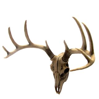 Buck Head Wall Mount Resin Deer Skull Antler Rack Bust Hunting Cabin/lodge Decor