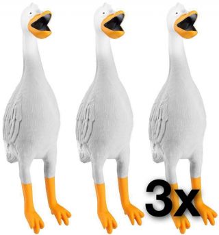 Rubber Goose/duck Bomb - 3 Pack - Squawkie Talkie - Duck Army - Dog Toy