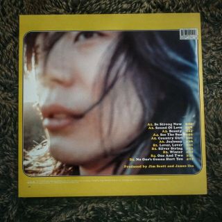 RARE RECORD LIMITED RELEASE Let It Come Down James Iha Vinyl 2