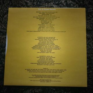 RARE RECORD LIMITED RELEASE Let It Come Down James Iha Vinyl 4