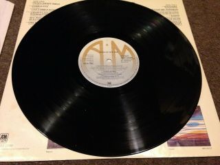 THE CARPENTERS SINGLES ALBUMS X 2 1968 - 1973 &1974 - 1978 VINTAGE VINYL 2