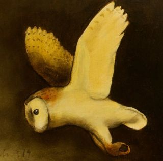 Barn Owl : Oil Painting : Falconry Flying Bird Art By David Andrews