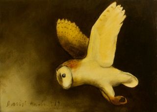 BARN OWL : OIL PAINTING : Falconry Flying Bird Art by David Andrews 3