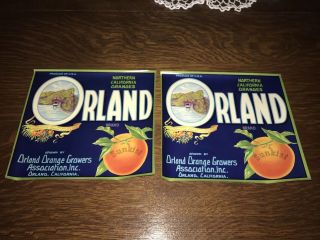 Vintage 1930s Sunkist Orland Orange Growers Northern California Fruit Box Labels