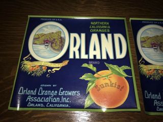 Vintage 1930s Sunkist Orland Orange Growers Northern California Fruit Box Labels 2