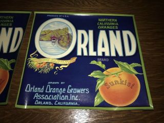 Vintage 1930s Sunkist Orland Orange Growers Northern California Fruit Box Labels 3