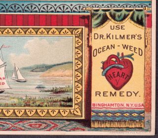 Dr Kilmers Ocean - Weed Heart Remedy 1800 