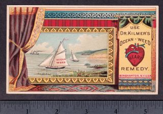 Dr Kilmers Ocean - Weed Heart Remedy 1800 ' s Blood Palsy Cure Victorian Trade Card 2