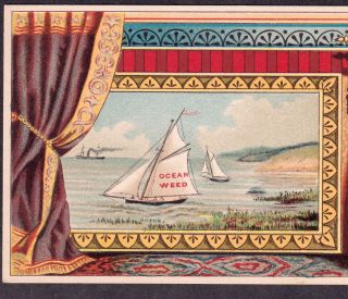 Dr Kilmers Ocean - Weed Heart Remedy 1800 ' s Blood Palsy Cure Victorian Trade Card 5