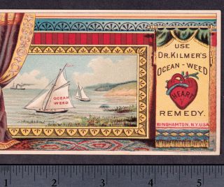 Dr Kilmers Ocean - Weed Heart Remedy 1800 ' s Blood Palsy Cure Victorian Trade Card 6