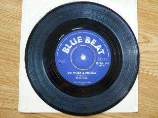 The Riff Primitive Man Oh What A Feeling 7 " Vinyl 1964 Rare Blue Beat Reggae Ska