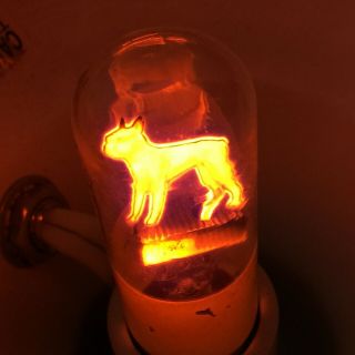 Vintage Aerolux Boston Terrier Dog Light Bulb Filament 1930’s Figural Ny