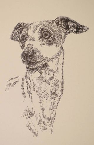 Italian Greyhound Dog Art Gift Lithograph 38 Stephen Kline Draws Dogs Name