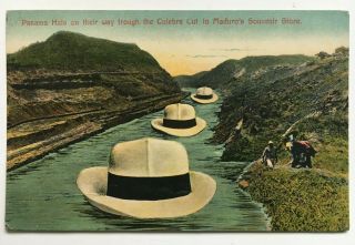 Postcard Giant Panama Hats Thru Canal Maduro 