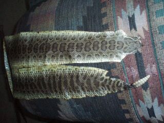 Rattlesnake Skin Prairie Rattler Hide Soft Tanned Bow Wrap Blanks Art 43 Inch Y5