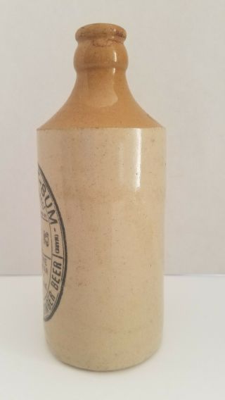 U - WANT - SOME Ginger Beer Stoneware Bottle M S Stone Co Ginger Beer Company NY 2