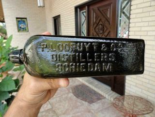 P.  Loopuyt & Co.  Distillers Schiedam Case Gin Olive Green Black Glass Bottle