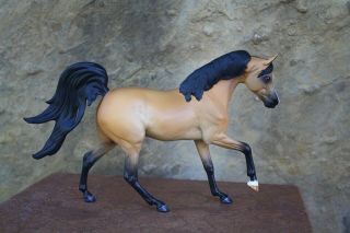 Cm/custom Breyer Horse,  Buckskin Malik -