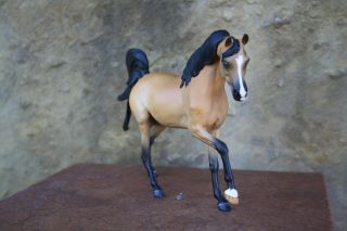 CM/custom Breyer horse,  buckskin malik - 2