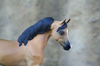 CM/custom Breyer horse,  buckskin malik - 3