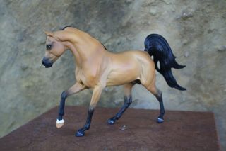 CM/custom Breyer horse,  buckskin malik - 4