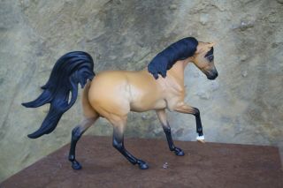 CM/custom Breyer horse,  buckskin malik - 5