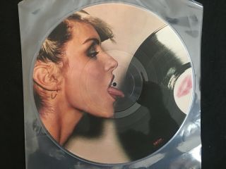 Blondie - Parallel Lines - Rare Ltd.  Edi.  12 " Picture Disc - Chrysalis Records - 1978
