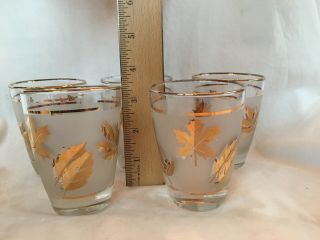Vintage Libbey MCM Gold Rimmed Frosted Leaves Bar Cocktail Small Glasses Tumbler 5