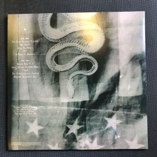 Pantera - The Great Southern Trendkill 12” Gold Vinyl Lp 2