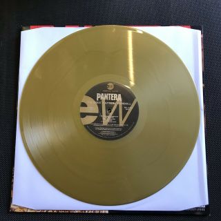 Pantera - The Great Southern Trendkill 12” Gold Vinyl Lp 3