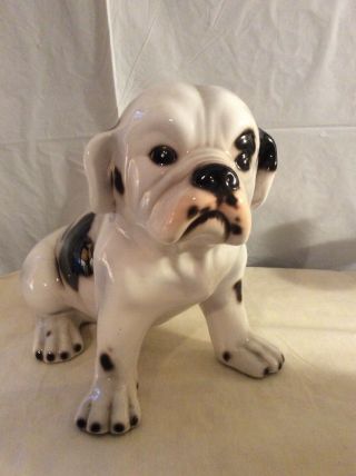 English Bulldog Figurine Ceramic Made In Italy.