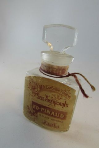 Vintage 1920 Edouard Pinaud Ed Pinaud Violet Cell American Paris Perfume Bottle 2