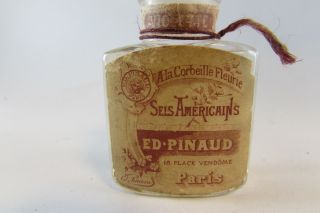 Vintage 1920 Edouard Pinaud Ed Pinaud Violet Cell American Paris Perfume Bottle 3