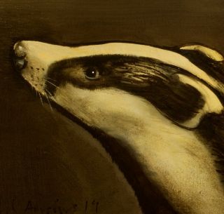 Badger Portrait : Oil Painting : Wildlife Nature Art By David Andrews