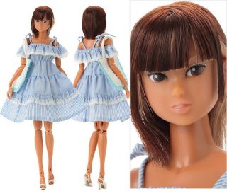 Momoko 27cm Girl Tan Skin Doll More Than A Best Friend Sales