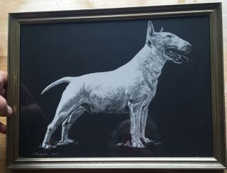 Vintage English Bull Terrier Print.  1977 R.  Russell.  Framed And Glazed