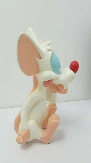 Animaniacs Pinky and the Brain 