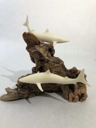 John Perry Shark Sculpture Manzanita Burl Wood 1970s