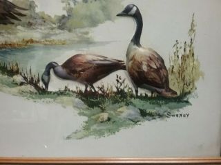 Fitger ' s Beer Embossed Sign Canadian Geese Framed This is Fitgerland By Sweney 3