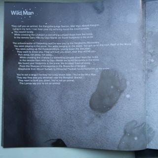 Kate Bush - 50 Words for Snow 2011 master double vinyl 2LP made EU 8