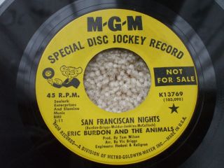 Eric Burdon And The Animals - San Franciscan Nights Demo / Promo Not