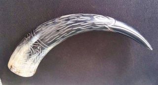 Best Gift The Raven Horn,  Medieval Horn,  Eagle Shadow,  Viking Horn,  Antic Horn