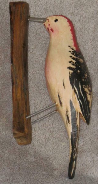 Red Bellied Woodpecker Carved Jim Slack Pekin Il Bird Figure Wall Mount