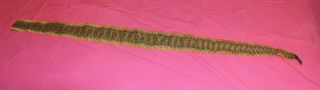 50”x4 " Diamond Back Rattle Snake Skin With Rattles Taxidermy Soft Tanned Crafts