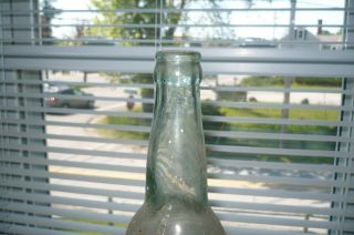 FEIGENSPAN P.  O.  N.  EXPORT BEER bottle - Newark,  N.  J - PRIVATE LABEL mancave 3