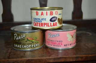 3 Vintage Can 