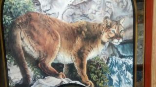 1995 Coors Beer Mountain Lion 3 of 6 in Nature Series Mirror Susan Shea Artwork 3