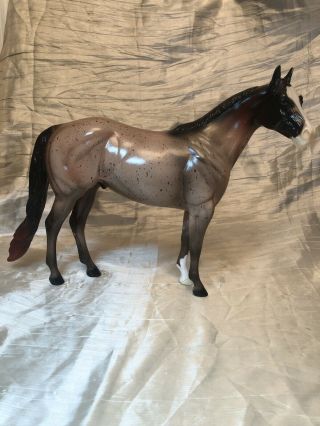 Peter Stone Glossy Red Roan Ish Ideal Stock Horse