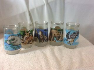 Collectible Set Of 5 Welchs Jelly Jars Endangered Species 
