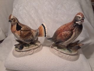 2 Porcelain Wild Birds (male & Female)